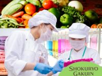 学校イメージ
