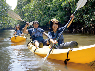 注目のカリキュラム