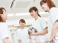 学部・学科・コース情報
