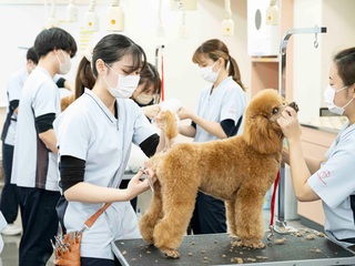 注目のカリキュラム