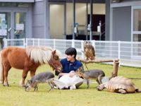 動物飼育コース学部・学科・コース情報