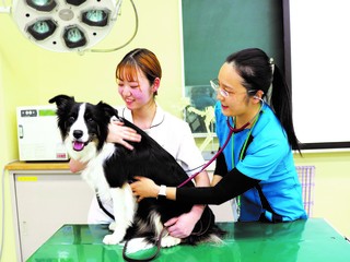  国際動物専門学校からのニュース画像[8811]