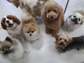 施設・設備のポイント 写真1