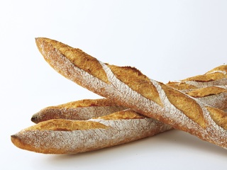 辻調理師専門学校オープンキャンパスイメージ画像