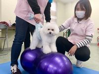 動物総合科学部・学科・コース情報
