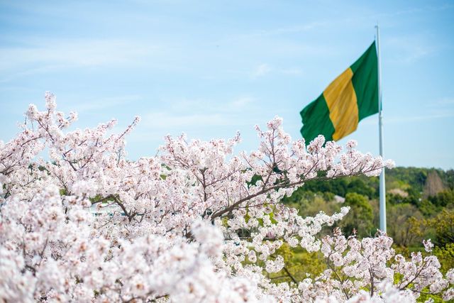名古屋商科大学