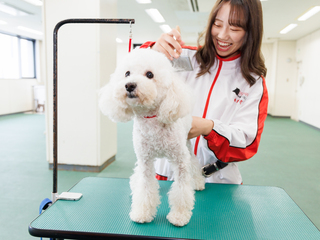  日本動物専門学校からのニュース画像[10497]