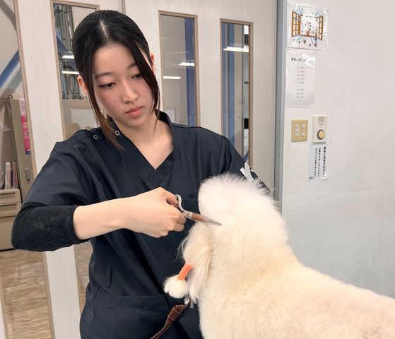 国際ペット専門学校 福井