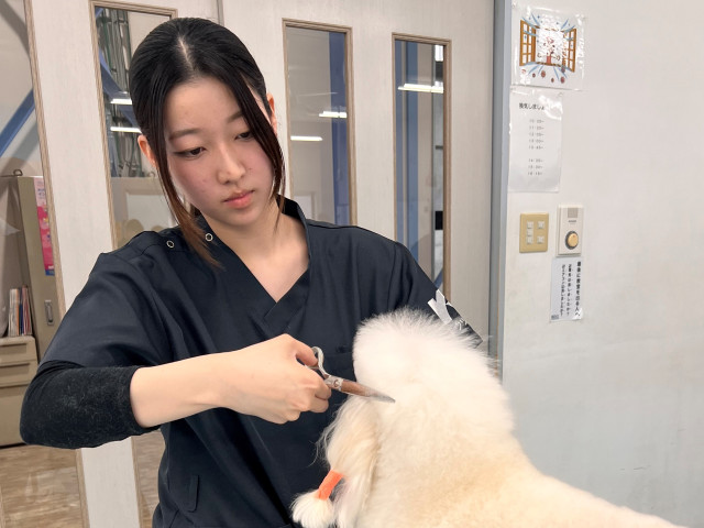 国際ペット専門学校 福井