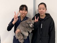 先輩・先生の声？