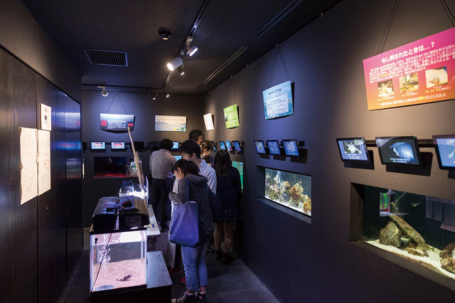 施設・設備のポイント 写真3