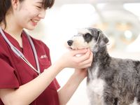 愛玩動物看護師学科（令和5年4月新設予定）学部・学科・コース情報