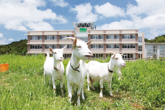 施設・設備のポイント 写真3