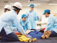心理学科学部・学科・コース情報