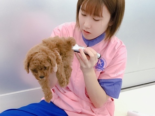 ナンバペット美容学院静岡分院オープンキャンパス特集1の写真