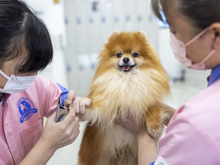 ナンバペット美容学院静岡分院オープンキャンパスイメージ画像