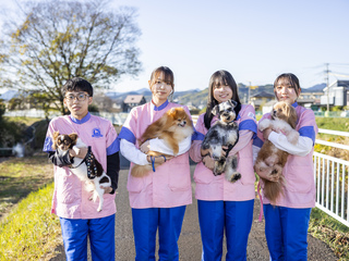 ナンバペット美容学院静岡分院オープンキャンパスイメージ画像