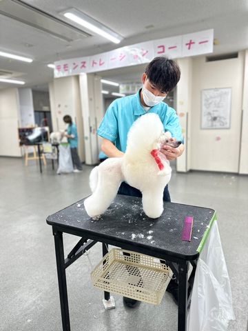 トリマーコース 専修科 トリマーコース専修科(2年制)