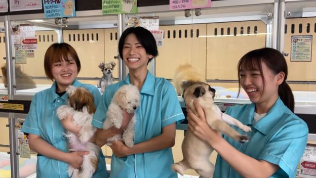 総合ペット・ビジネスコース 総合ペット・ビジネスコース(2年制)