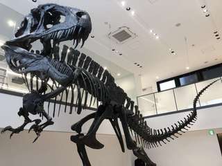 TCA東京ECO動物海洋専門学校オープンキャンパスイメージ画像