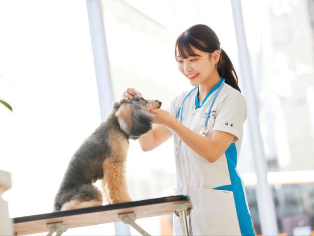 動物看護科 動物看護コース 国家資格の取得を目指す。「いのち」と「こころ」をに寄り添う、トップクラスの愛玩動物看護師になる。