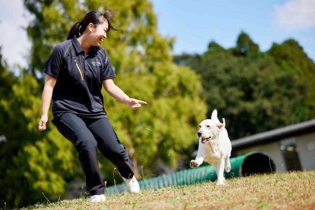 動物管理科 ドッグトレーナーコース 犬の心を学び、人と犬を繋ぐトレーナーになる！