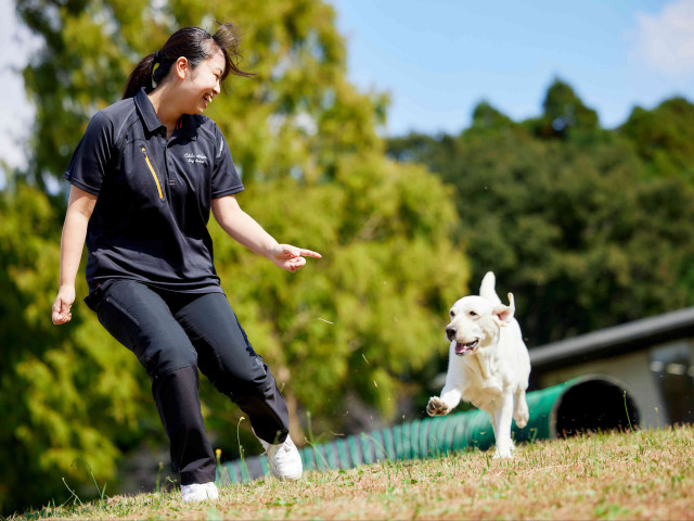 動物管理科 ドッグトレーナーコース 犬の心を学び、人と犬を繋ぐトレーナーになる！