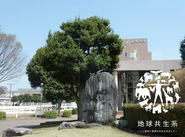 麻布大学