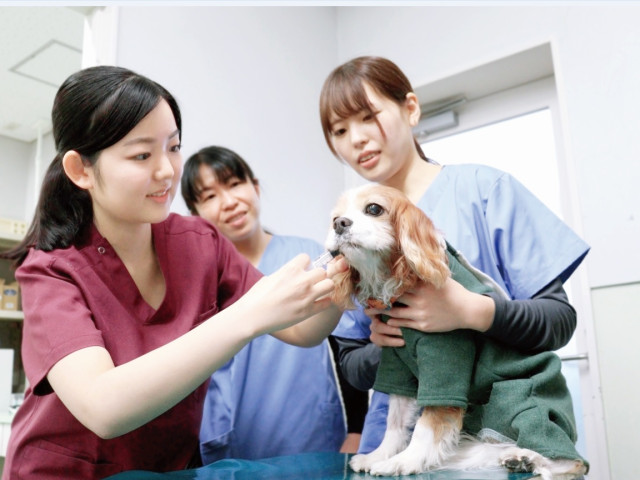 獣医学部 獣医保健看護学科 生命を看つめ、護る 愛玩動物看護師を養成