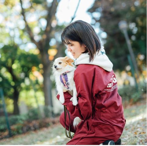 獣医学部 獣医系大学最多の研究室で、学生の「やりたい」に応える教育研究体制