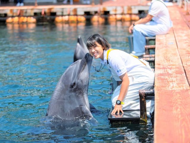 TCA東京ECO動物海洋専門学校の写真