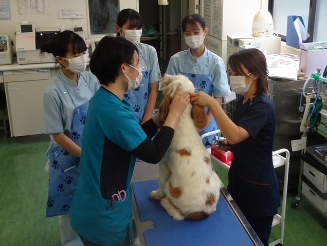 施設・設備のポイント 写真2