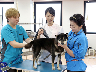  セントラル動物専門学校からのニュース画像[8959]