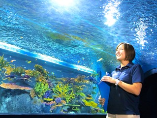 注目のカリキュラム