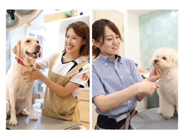 動物看護科【4年制】 動物看護師＆ペットスペシャリスト専攻