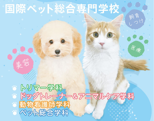 国際ペット総合専門学校