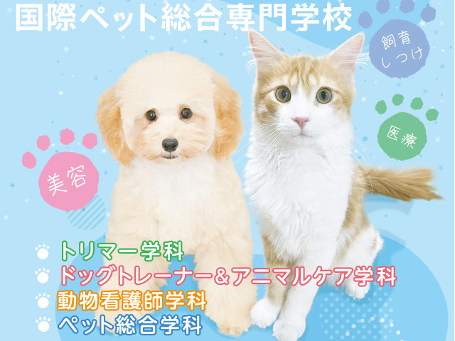 国際ペット総合専門学校