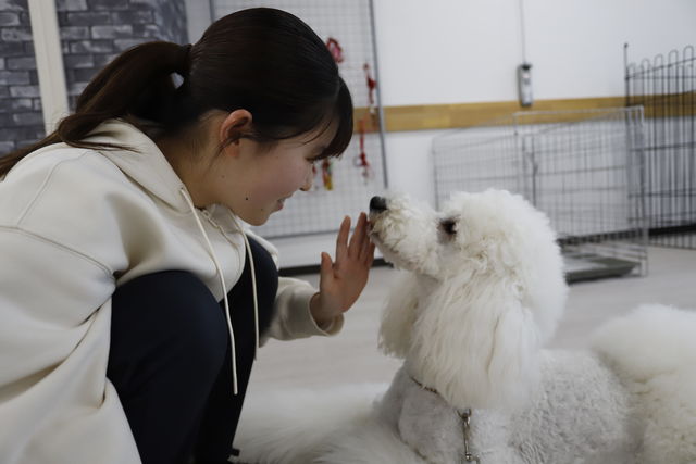 ペットビジネス学科 ドッグトレーナー専攻 犬の持つ能力を引き出し、飼い主様の最高のパートナーを育てるプロへ！