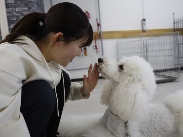 ペットビジネス学科 ドッグトレーナー専攻 犬の持つ能力を引き出し、飼い主様の最高のパートナーを育てるプロへ！