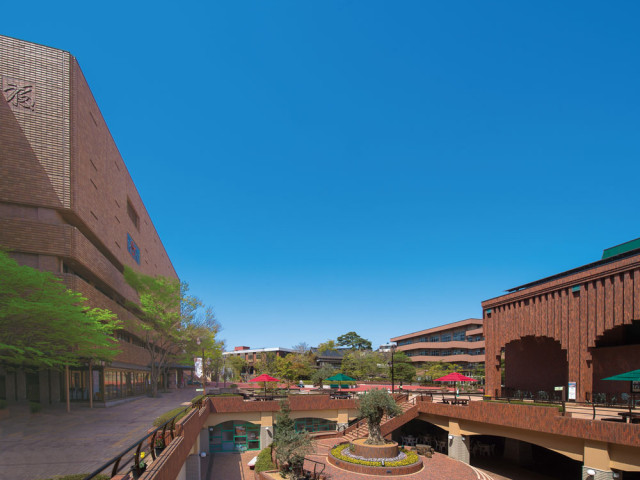 東北福祉大学