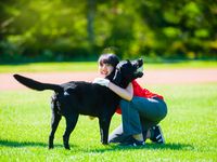 ドッグトレーナーコース学部・学科・コース情報