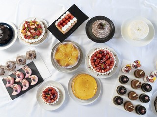 春休み体験入学会2026の画像