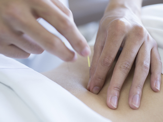 鍼灸手技療法学科　オープンキャン～東洋医学を体験しよう～の画像