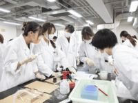 薬学部学部・学科・コース情報
