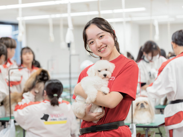 動物管理学科 ペットショップ&セラピーコース ワンちゃんをはじめとした、ペットについての幅広い知識が身につけられます！ペットショップでの仕事に憧れるあなたに、ピッタリの総合学習コースです！