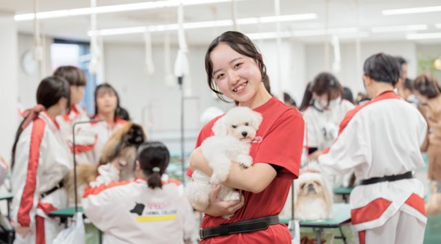 動物管理学科 ペットショップ＆セラピーコース ワンちゃんをはじめとした、ペットについての幅広い知識が身につけられます！ペットショップでの仕事に憧れるあなたに、ピッタリの総合学習コースです！