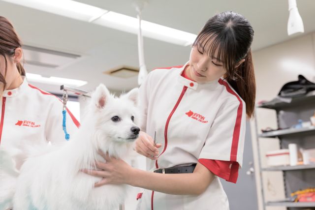 動物管理学科 グルーミングコース ワンちゃんを可愛くカットし、健康面にも配慮する大切な仕事「グルーマー(トリマー)」をめざします！