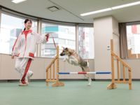 ドッグトレーニングコース学部・学科・コース情報