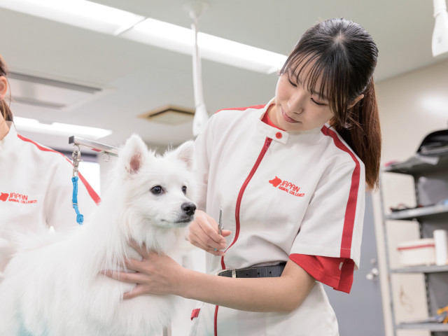動物管理学科 グルーミングコース ワンちゃんを可愛くカットし、健康面にも配慮する大切な仕事「グルーマー(トリマー)」をめざします！