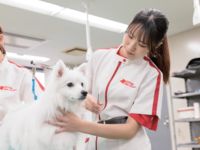 グルーミングコース学部・学科・コース情報